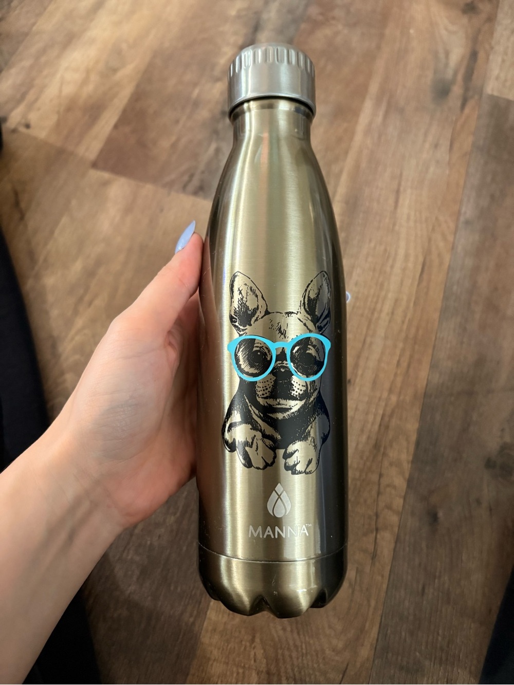 Stainless Steel Bottle with french bulldog wearing Blue Glasses Dog Illustration
